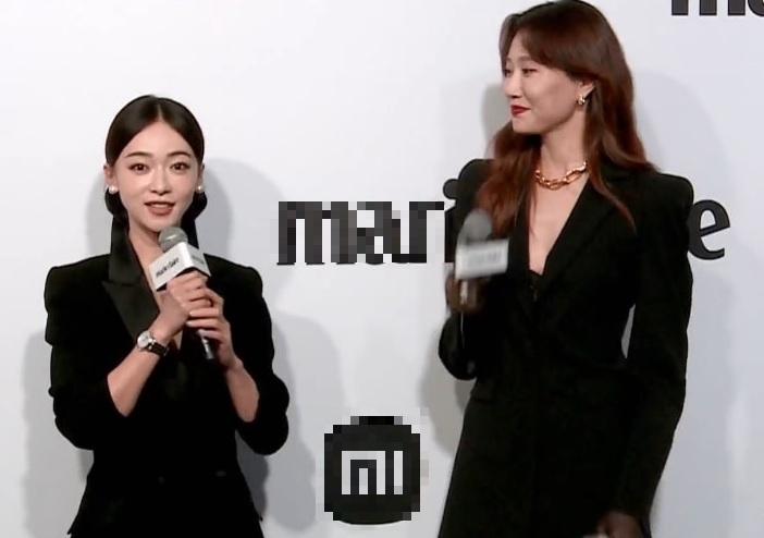 Nu MC Trung Quoc bi 'duoi' khoi tham do vi lan at nhieu minh tinh anh 1