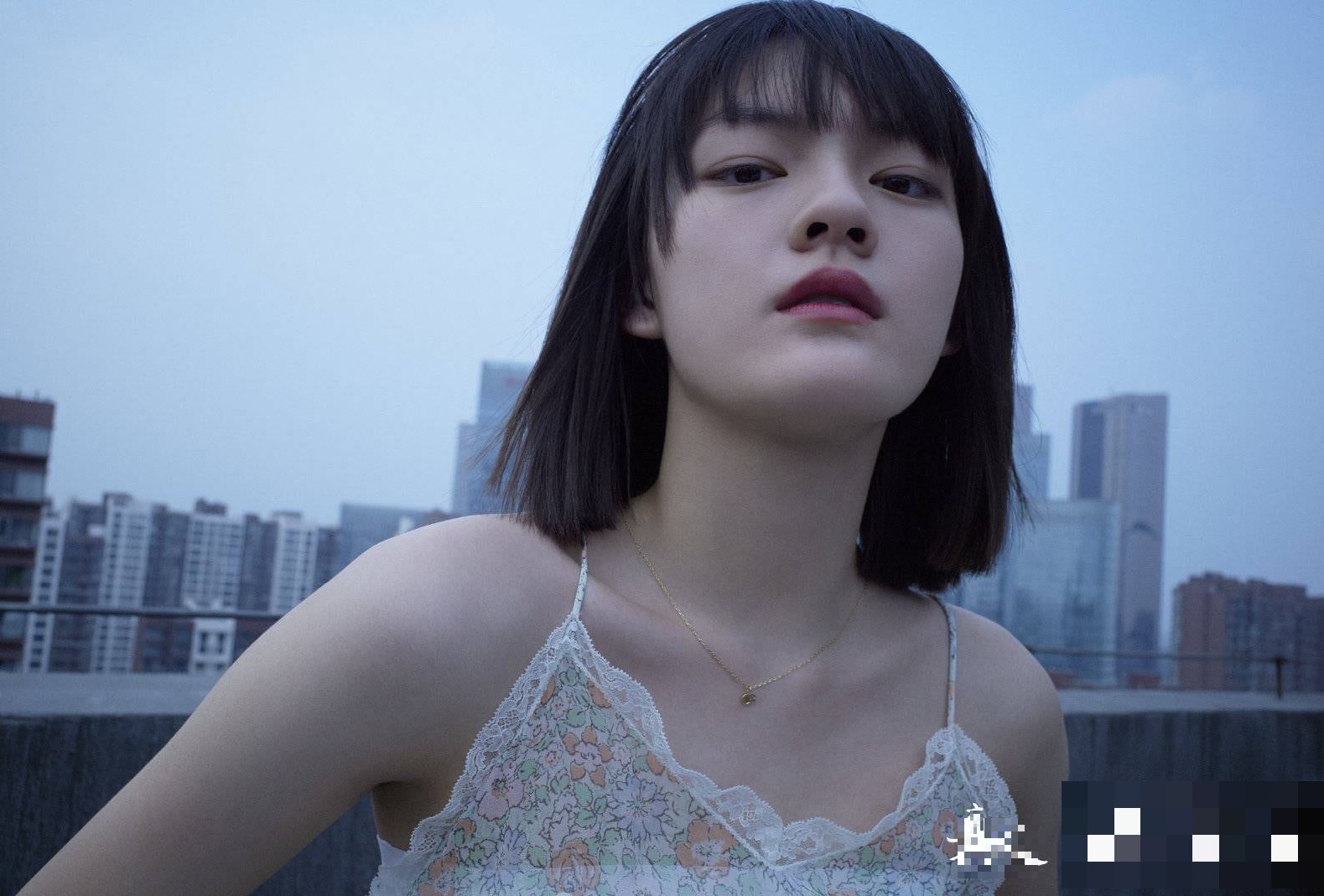 Tieu hoa dan Trung Quoc Van Ky anh 2