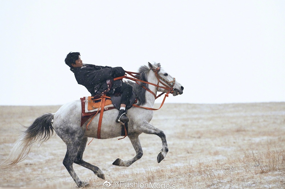 Bo anh moi cua Dinh Chan anh 5