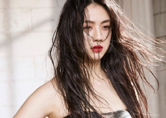 Sự nghiệp của Thang Duy ảnh 2 Su nghiep cua Thang Duy anh 2