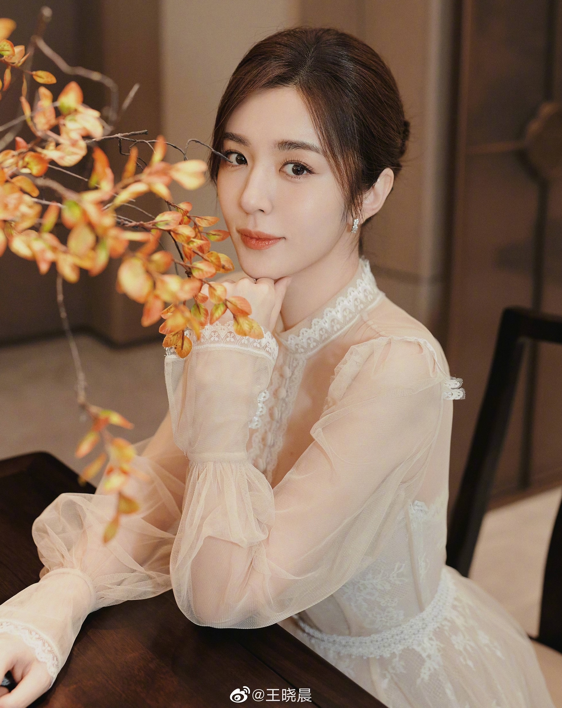 Hồ Ca vướng tin kết hôn Vương Hiểu Thần ảnh 2 Ho Ca vuong tin ket hon Vuong Hieu Than anh 2