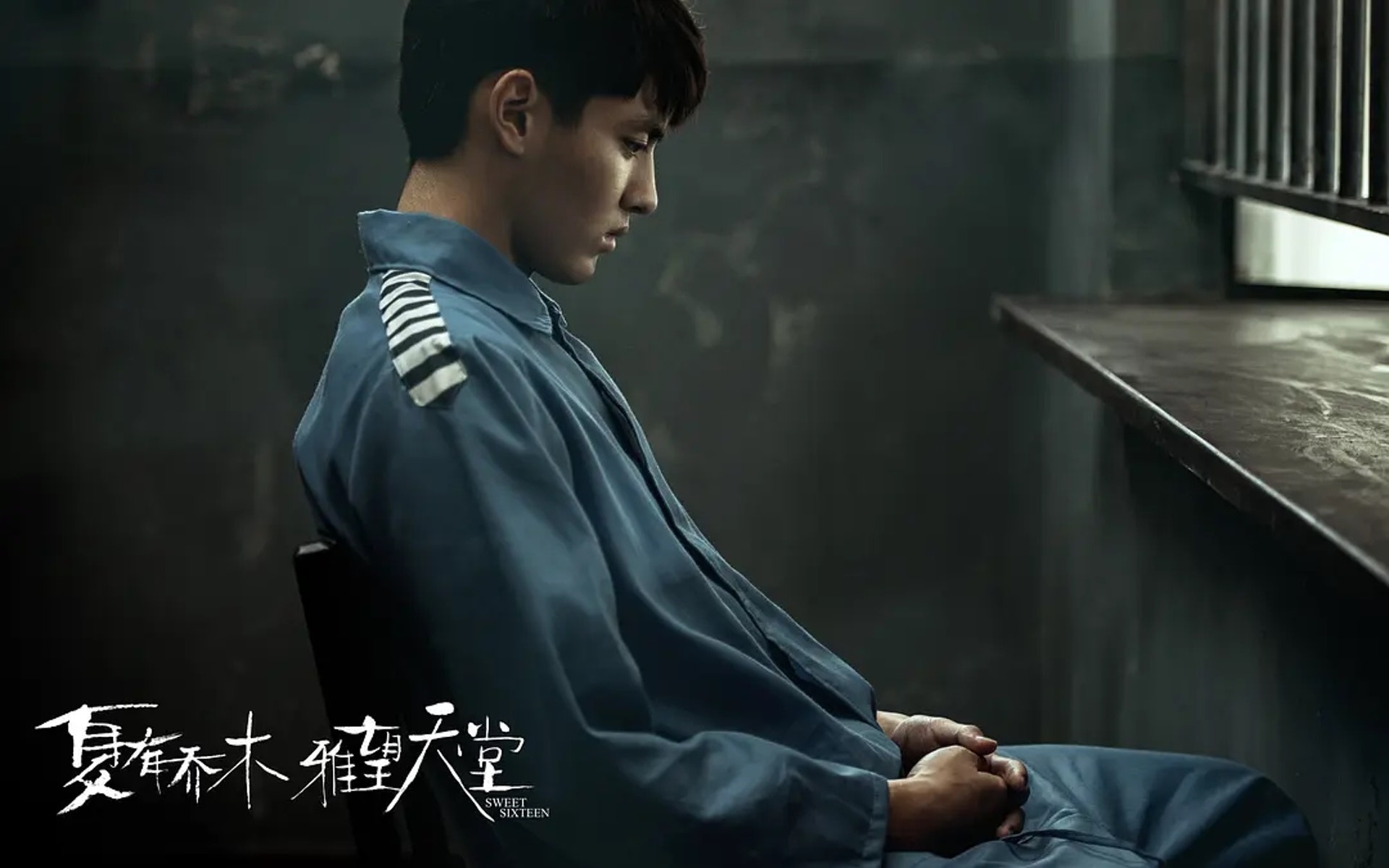 Ngo Diec Pham bi bat giam anh 1