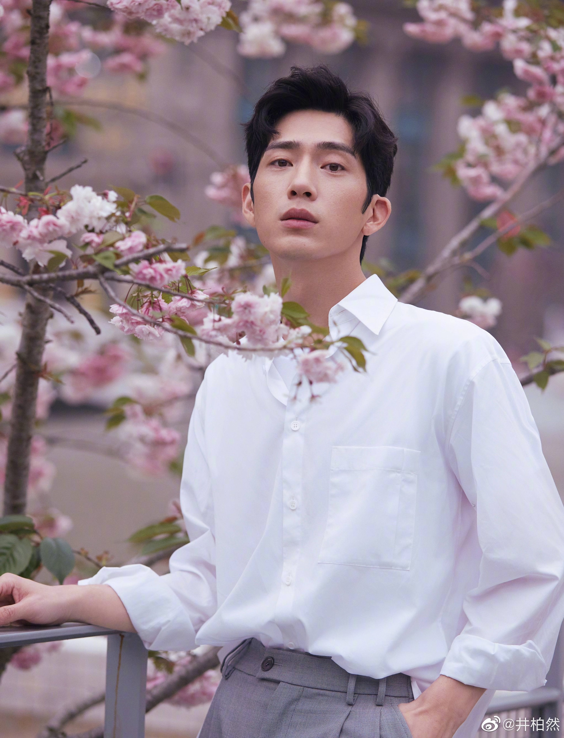 Sao Hoa ngu bi nghi la dong loa voi Ngo Diec Pham anh 7