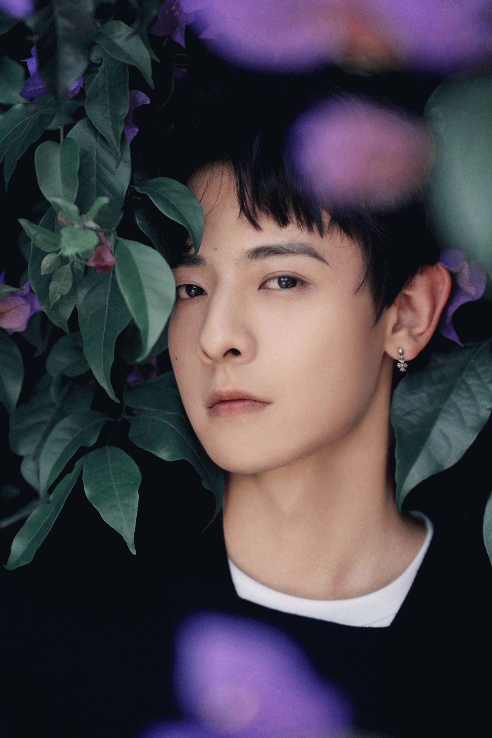 Doan Du cua Bach Chu anh 10