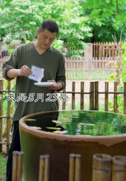 Ly A Bang ve que trong rau anh 4