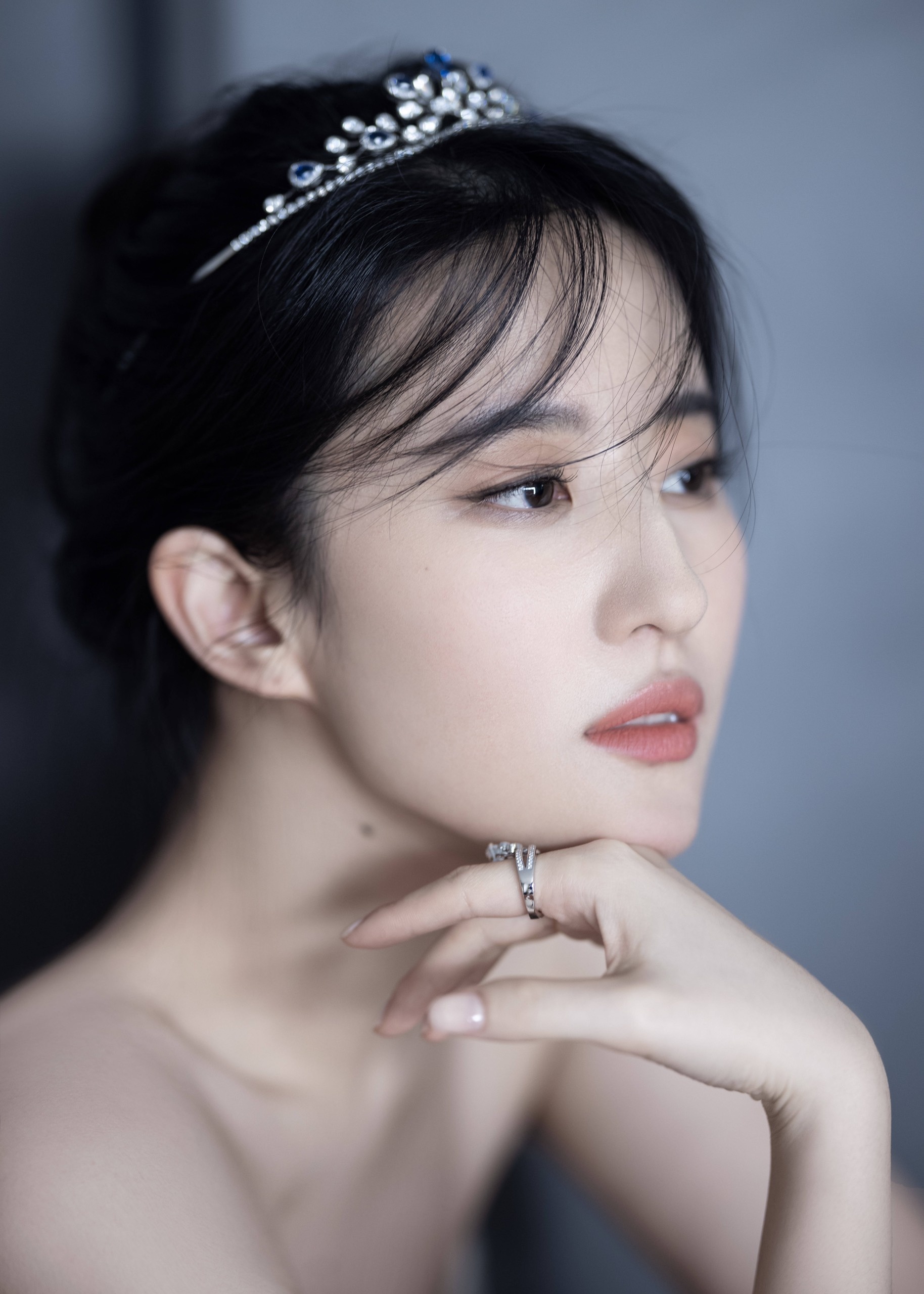 Luu Diec Phi bi chi trich anh 1