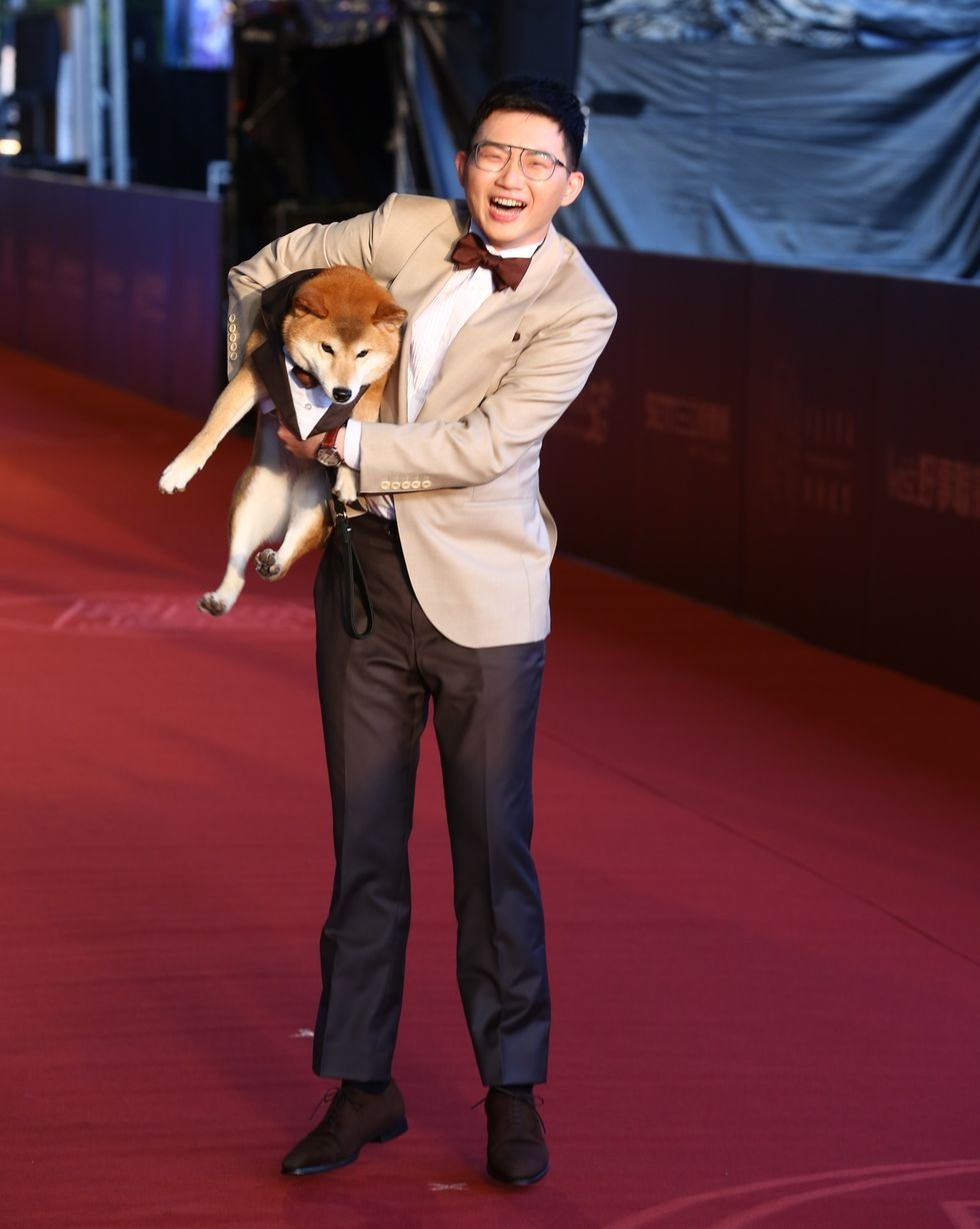 Sự thoái trào của giải Kim Mã ảnh 1 Su thoai trao cua giai Kim Ma anh 1