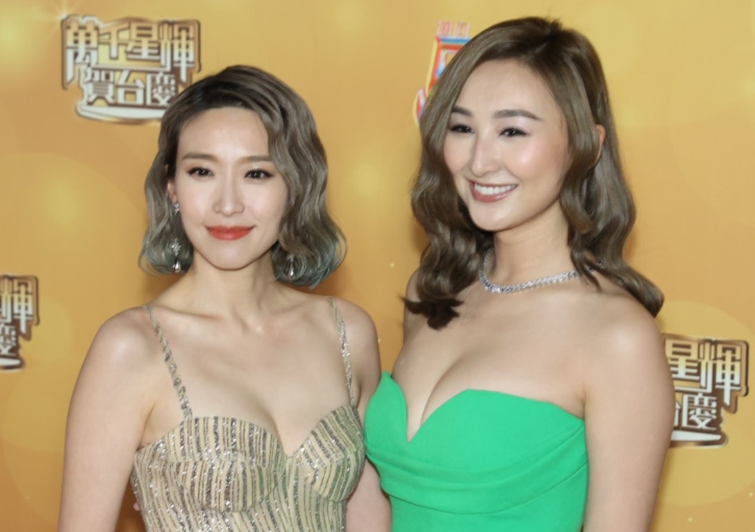 200 nghe si du le ky niem cua TVB hinh anh