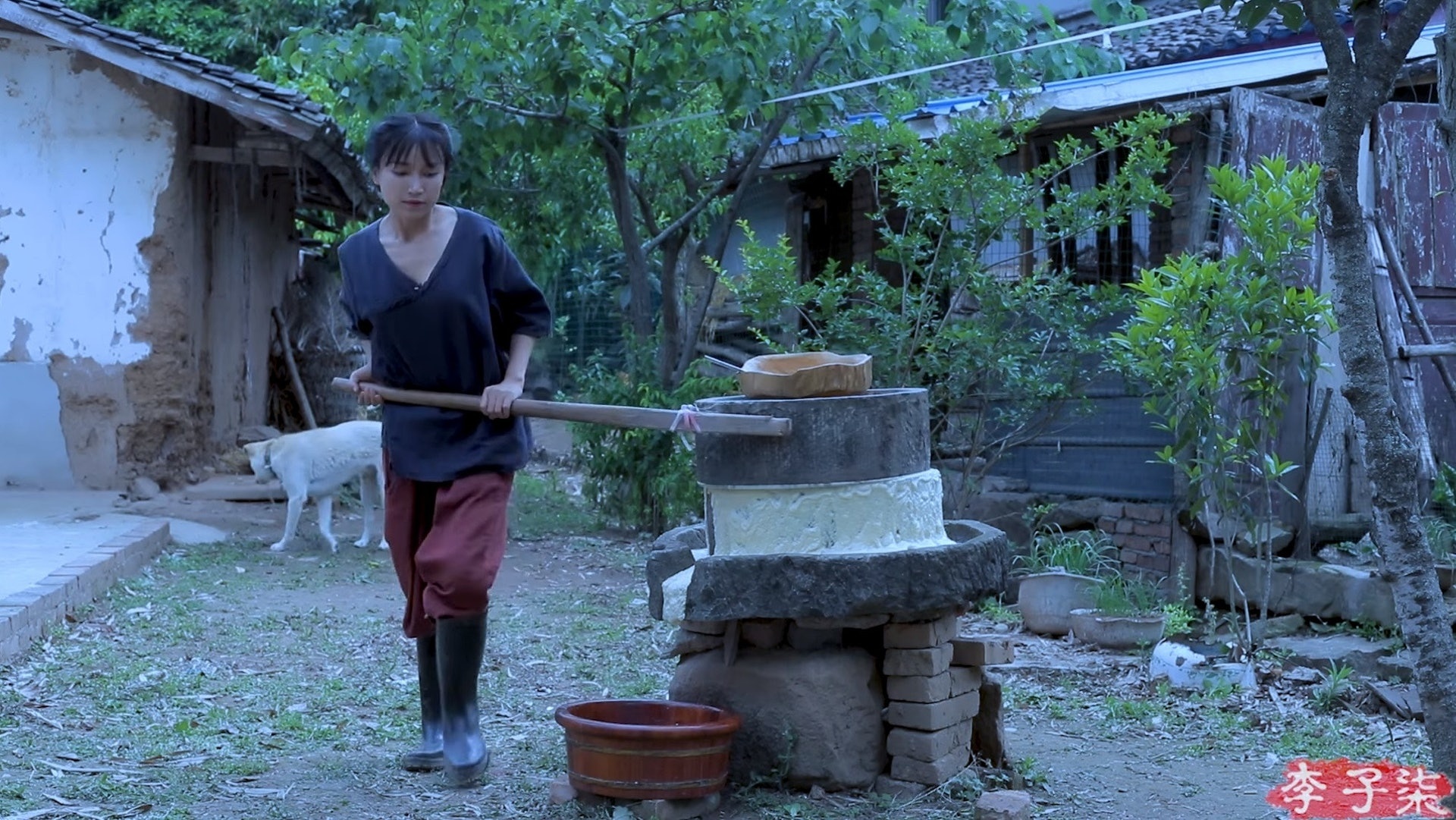 Cuoc song cua Ly Tu That anh 2