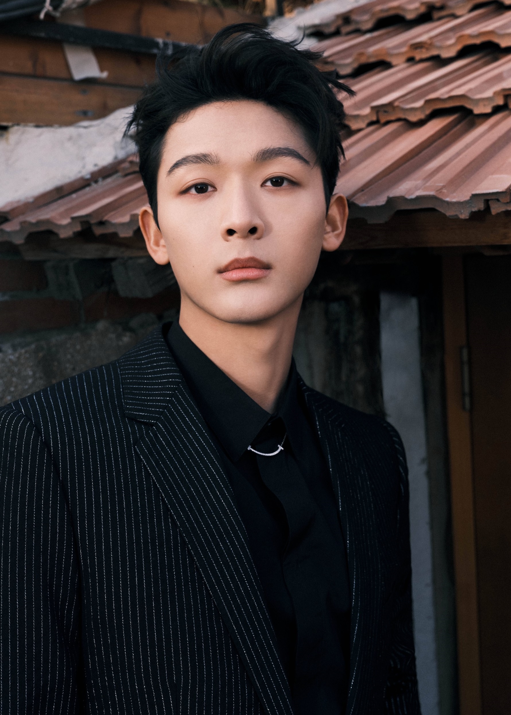 Tan tu tieu hoa dan anh 8