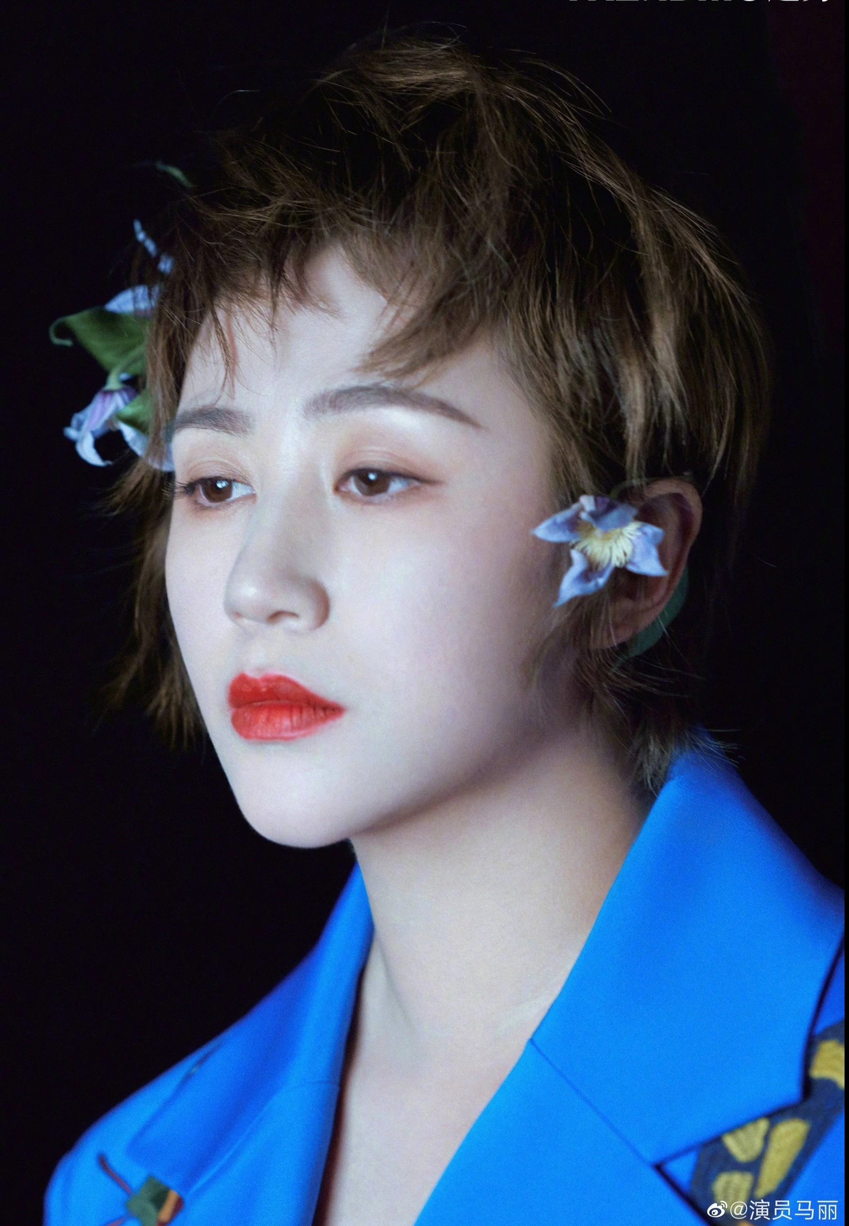 De cu Cay Choi Vang anh 1