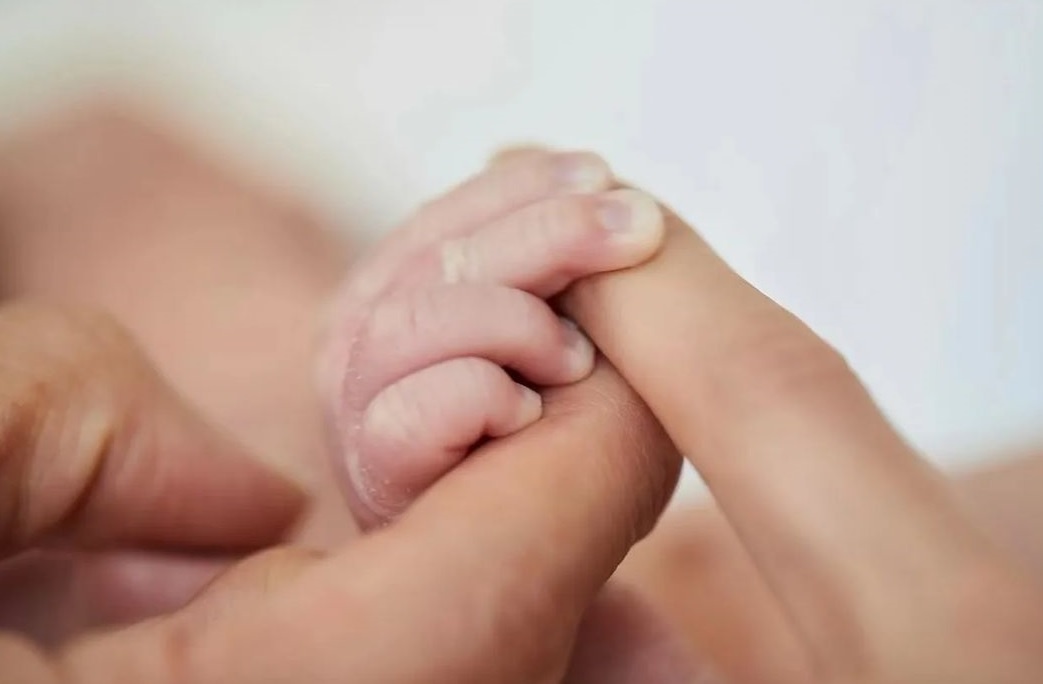 Lâm Chí Linh sinh con ảnh 1 Lam Chi Linh sinh con anh 1