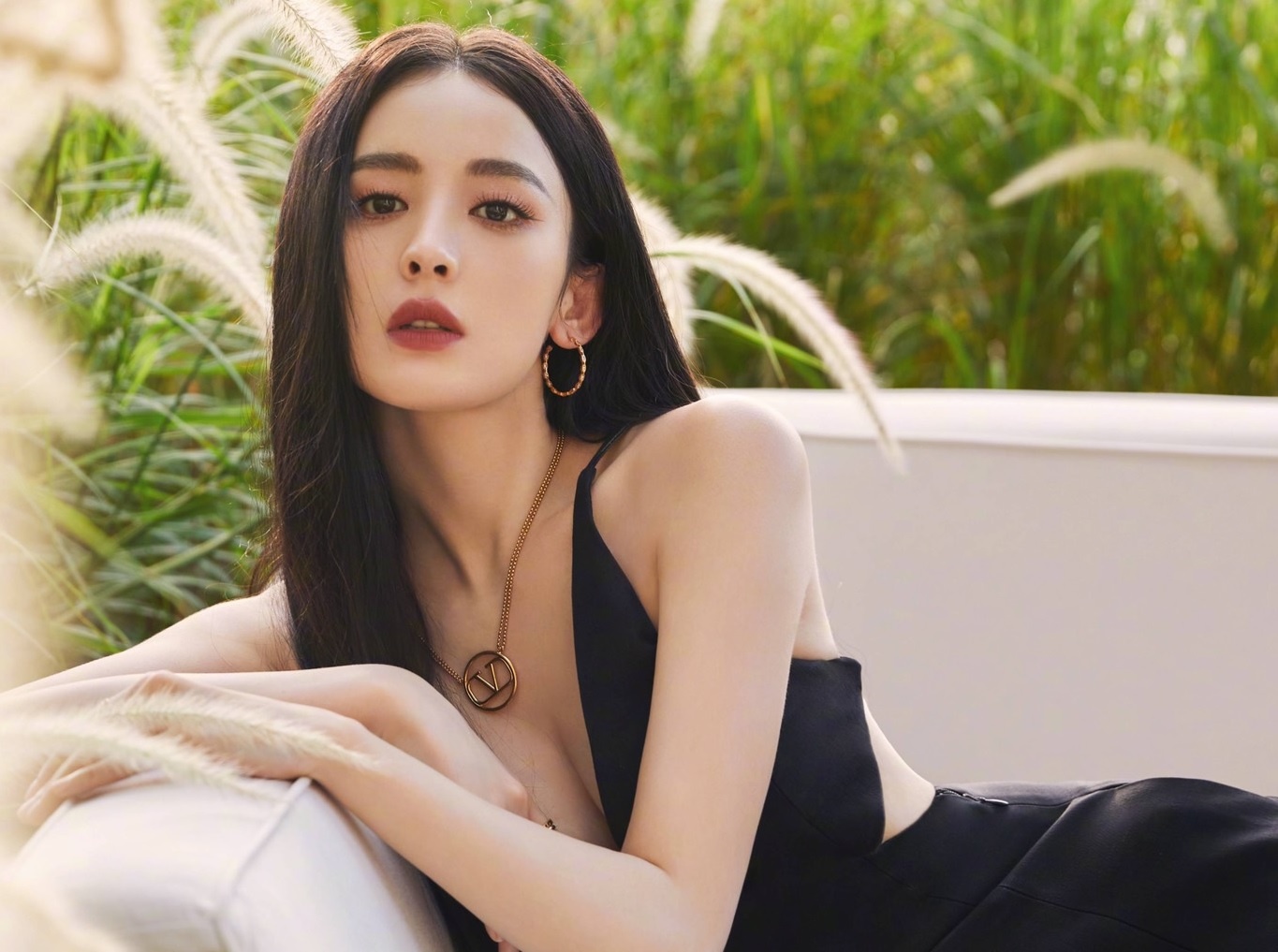 Co Luc Na Trat - binh hoa di dong tren man anh hinh anh