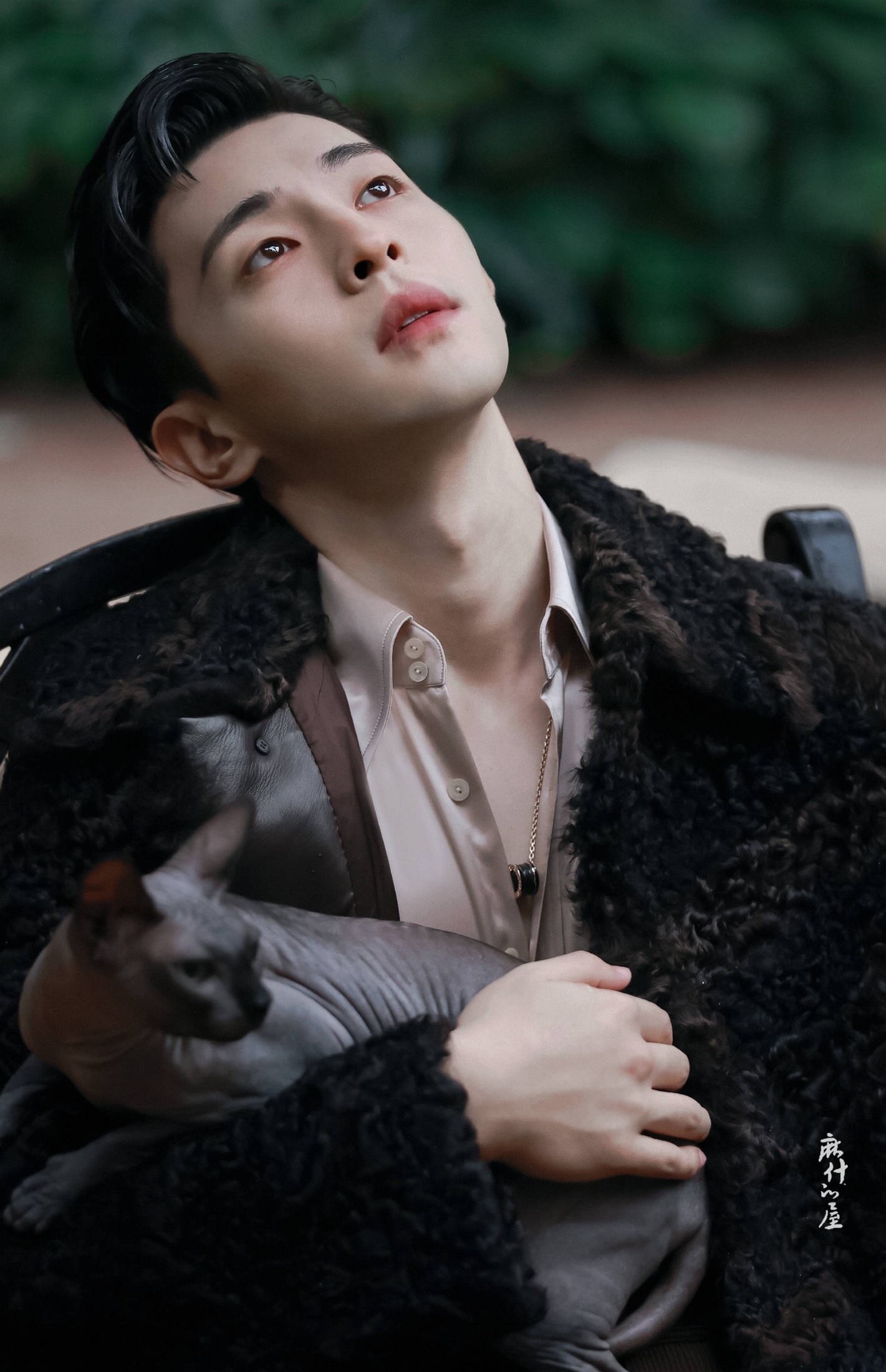 Dang Luan tron thue anh 3