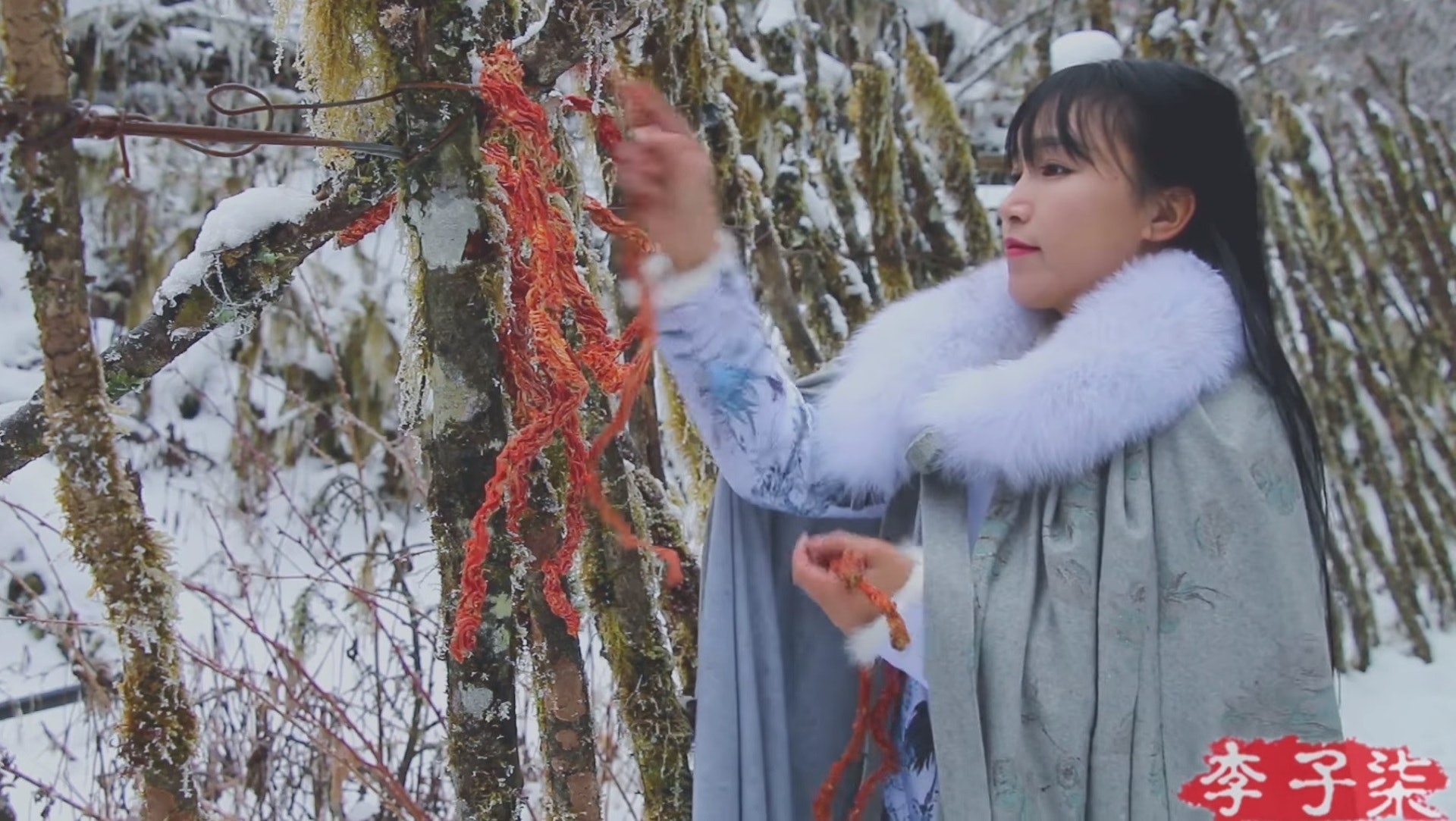 Ly Tu That danh mat the doc ton anh 2