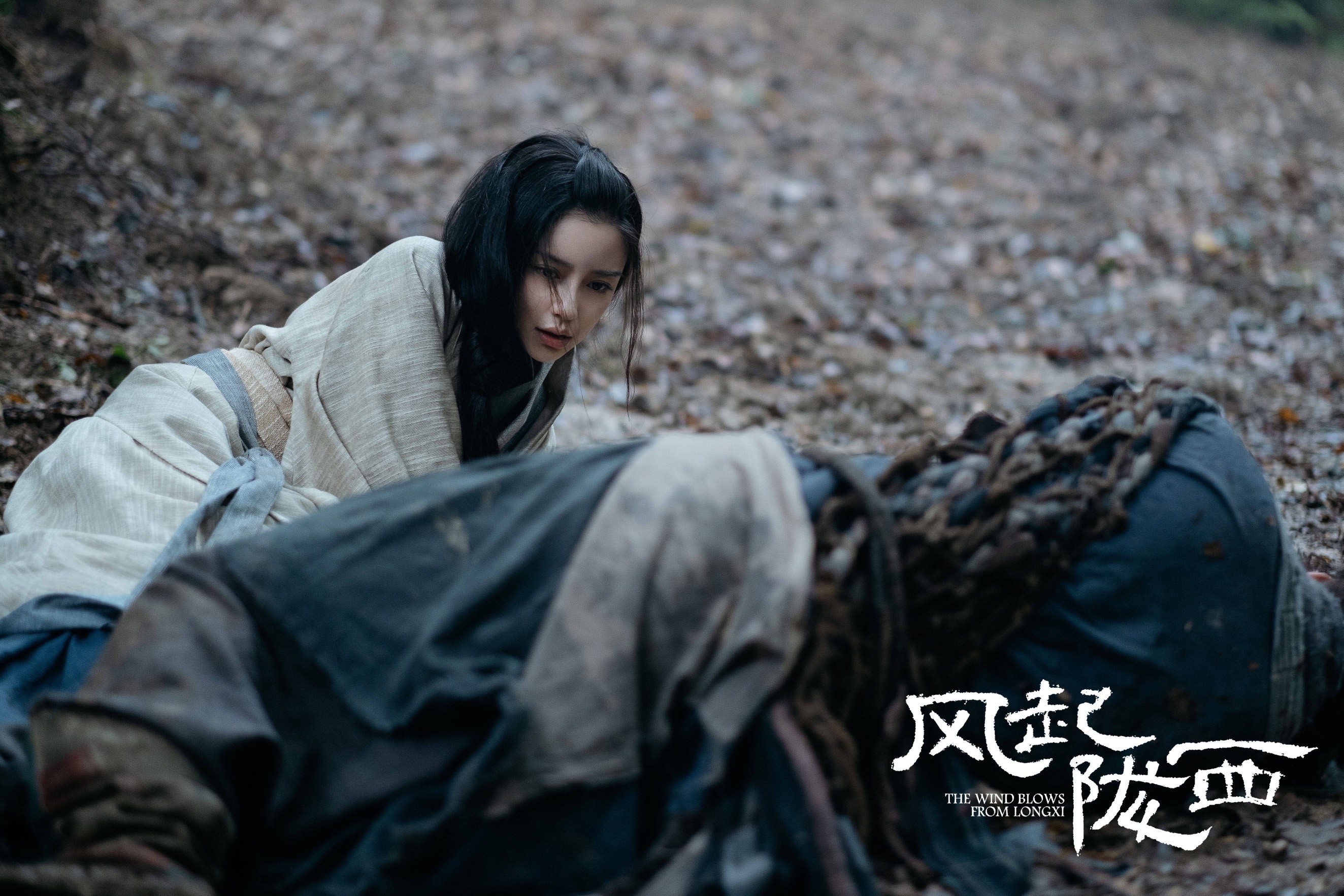 Angelababy dong my nhan Tam Quoc anh 7