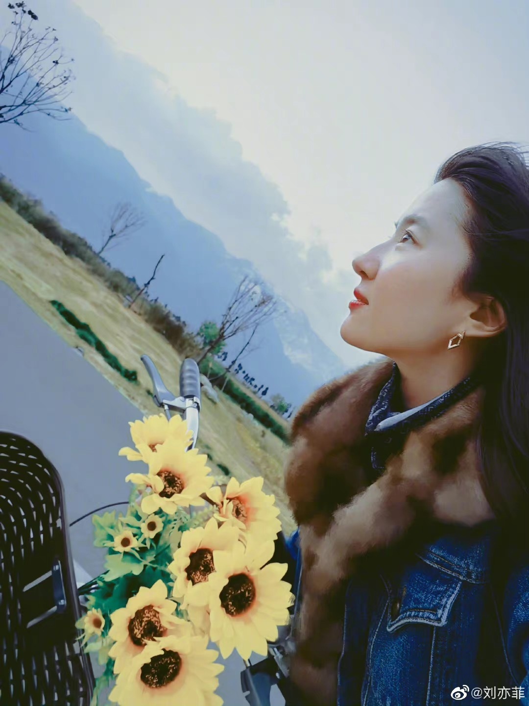 Luu Diec Phi tuoi 35 anh 3