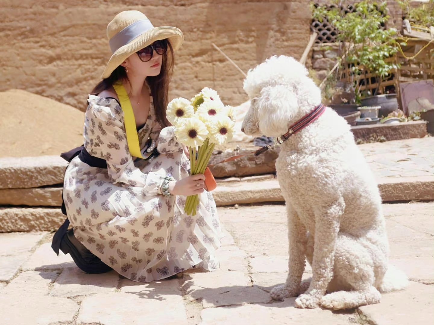 Luu Diec Phi tuoi 35 anh 2