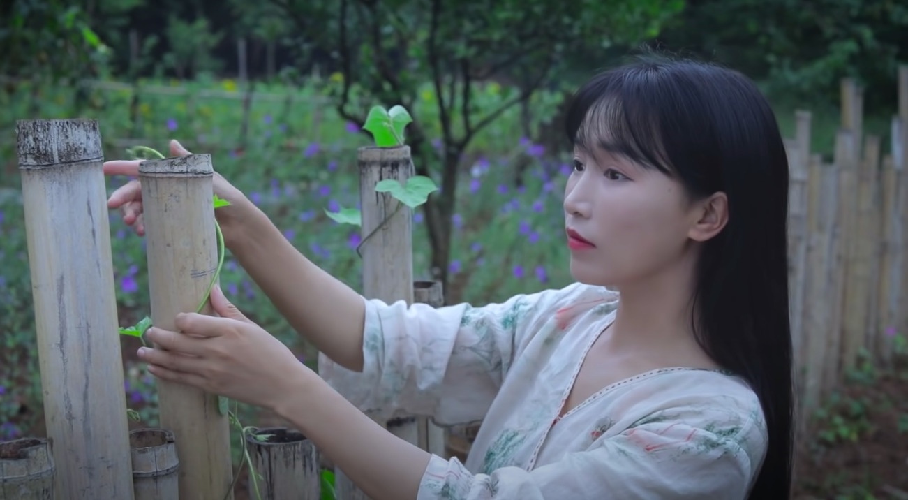 Ly Tu That ngung quay video anh 1