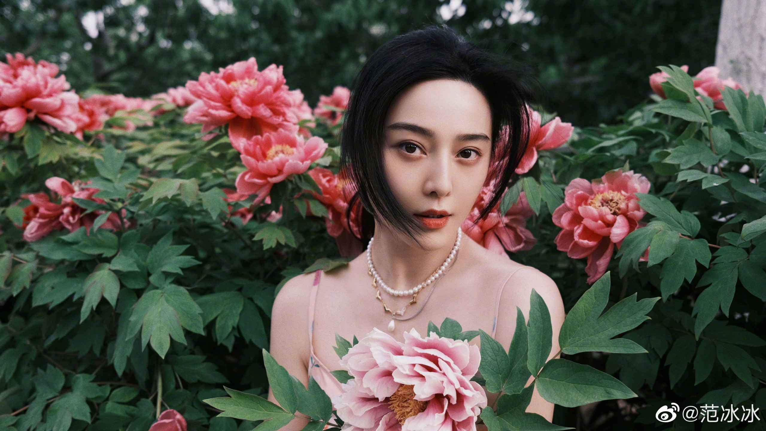 Pham Bang Bang sau be boi tron thue anh 1