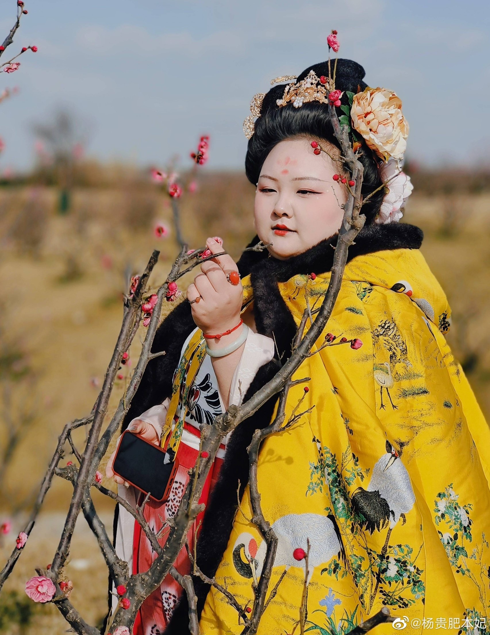 Co gai 100 kg hoa than Duong Quy Phi anh 10