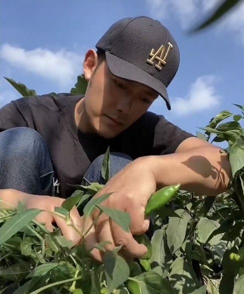 Tu Hai Vy ban hang rong anh 2