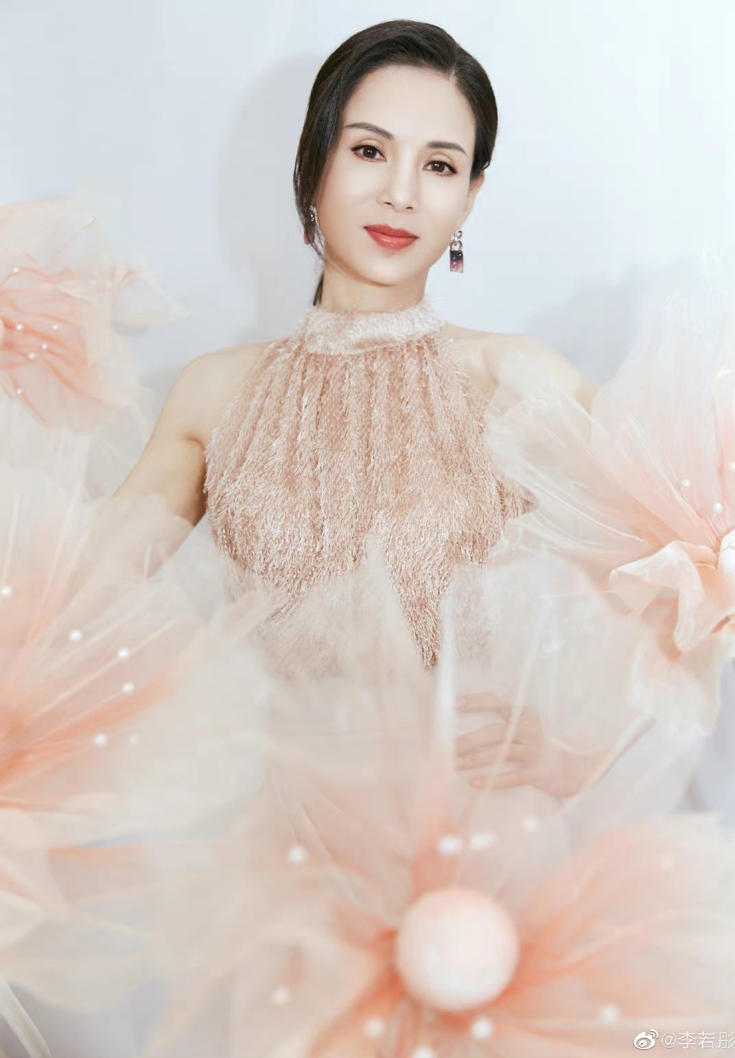 Lý Nhược Đồng bị chế giễu ảnh 4 Ly Nhuoc Dong bi che gieu anh 4