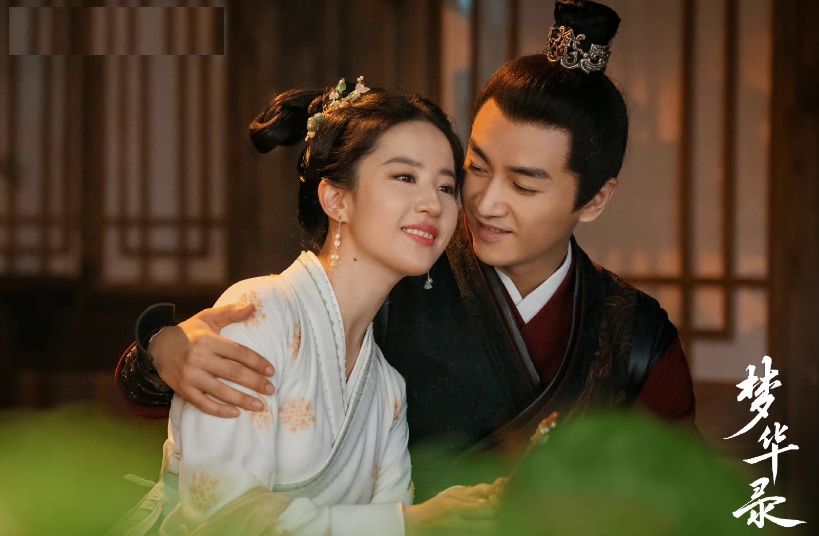 Phim Luu Diec Phi gay tranh cai anh 1