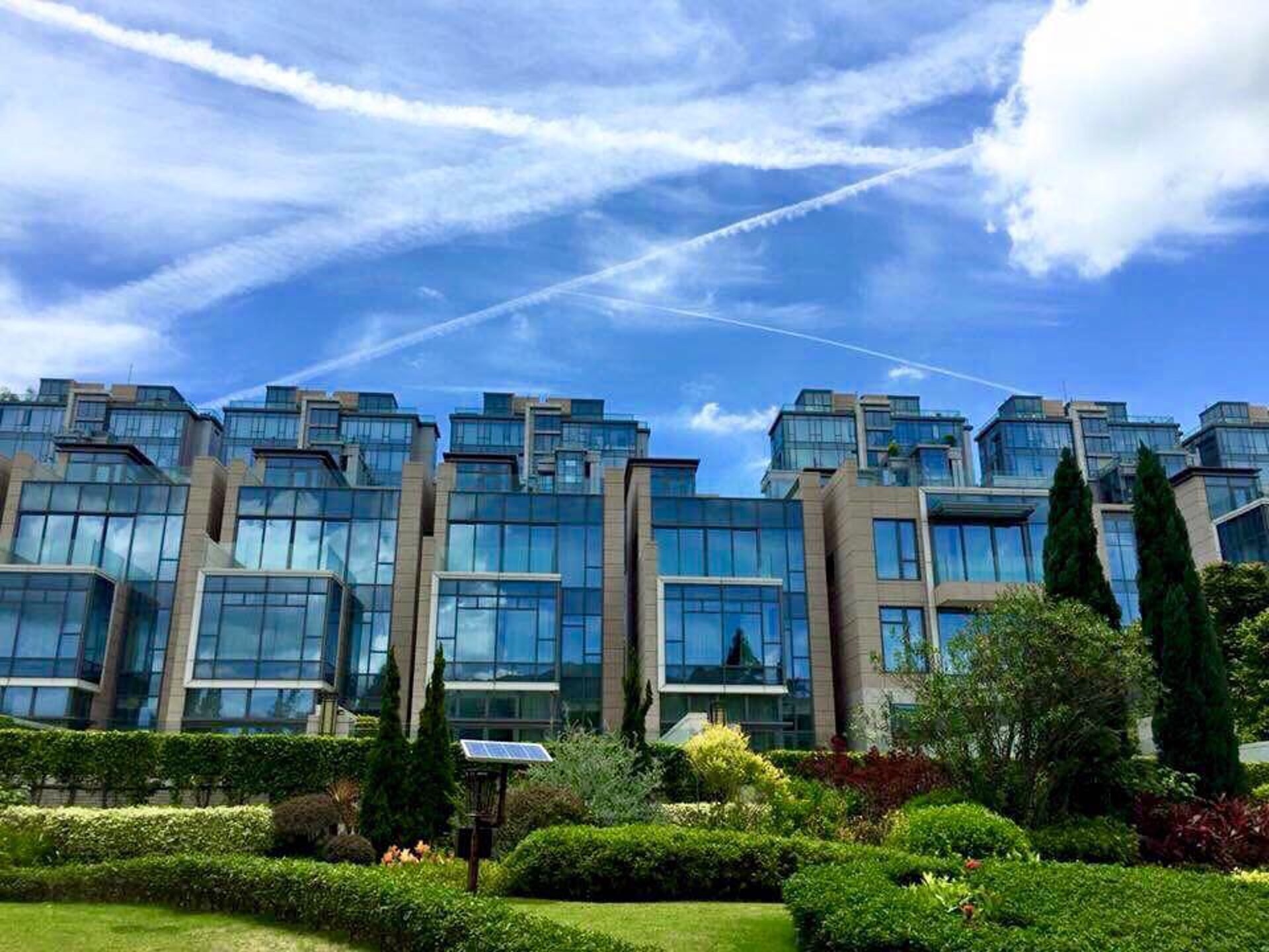 Gia san Thai Thieu Phan anh 2