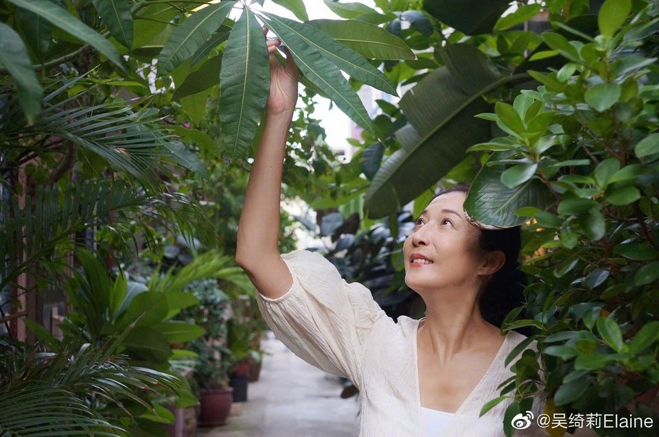 Bi kich cua Ngo Y Loi anh 1