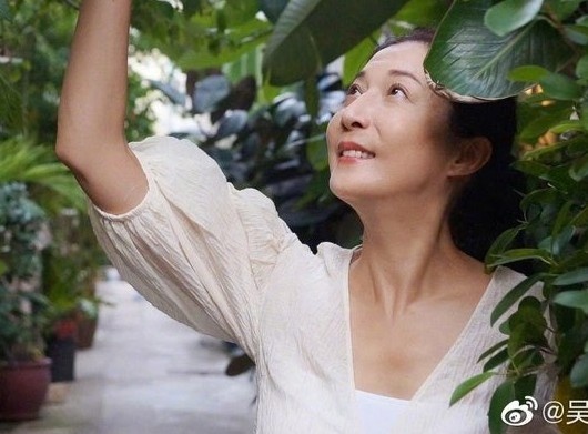 Ngo Y Loi chat vat kiem tien o tuoi 49 hinh anh