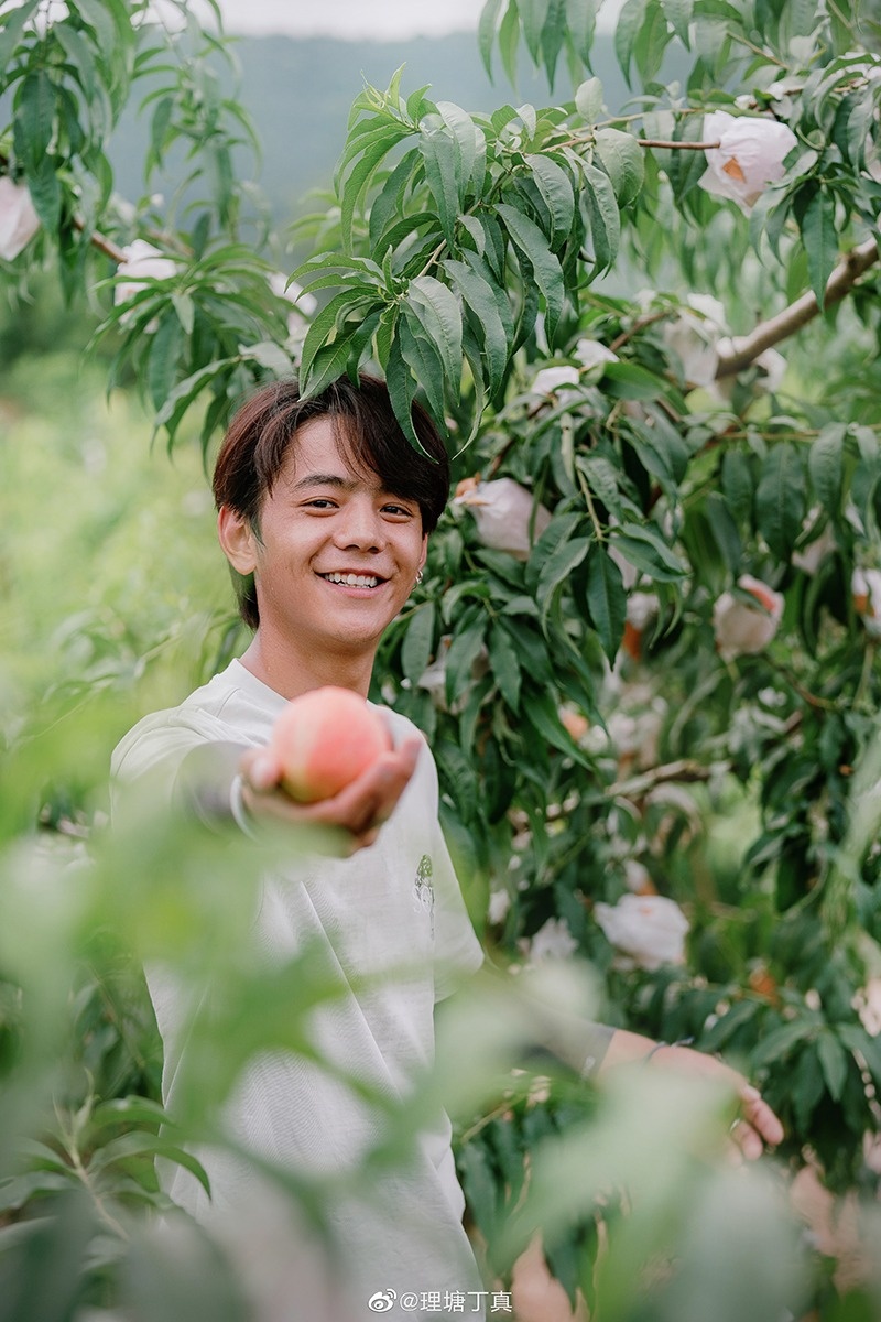 Đinh Chân bán hàng rong ảnh 3 Dinh Chan ban hang rong anh 3