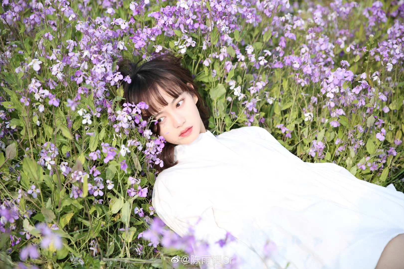 Nu chinh Tuyet Son Phi Ho anh 12