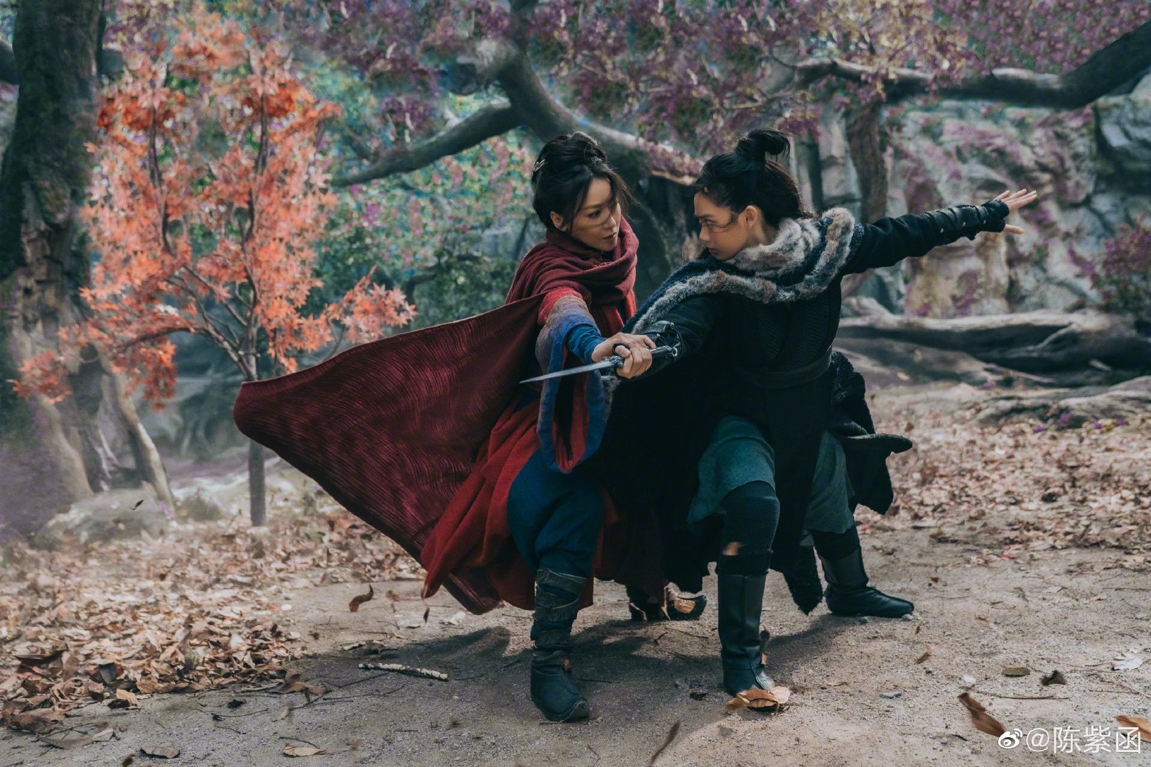 Nu chinh Tuyet Son Phi Ho anh 1