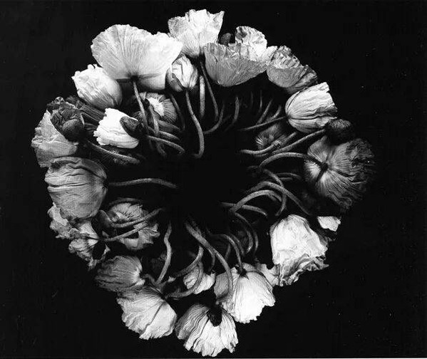 Chau Nhuan Phat mo trien lam anh 5