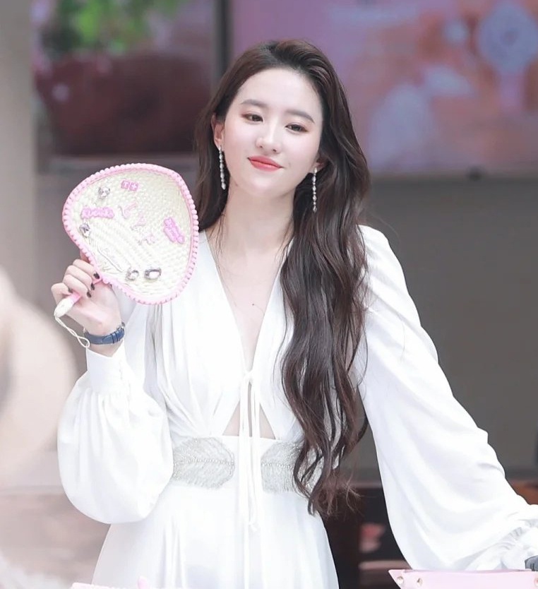 Luu Diec Phi sau vu bi tay chay anh 5