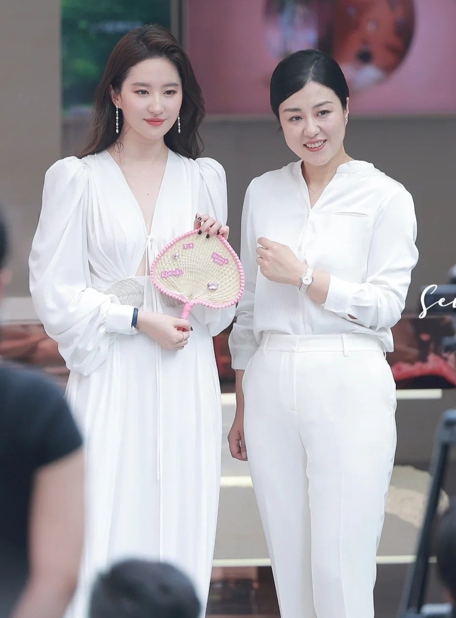 Luu Diec Phi sau vu bi tay chay anh 7