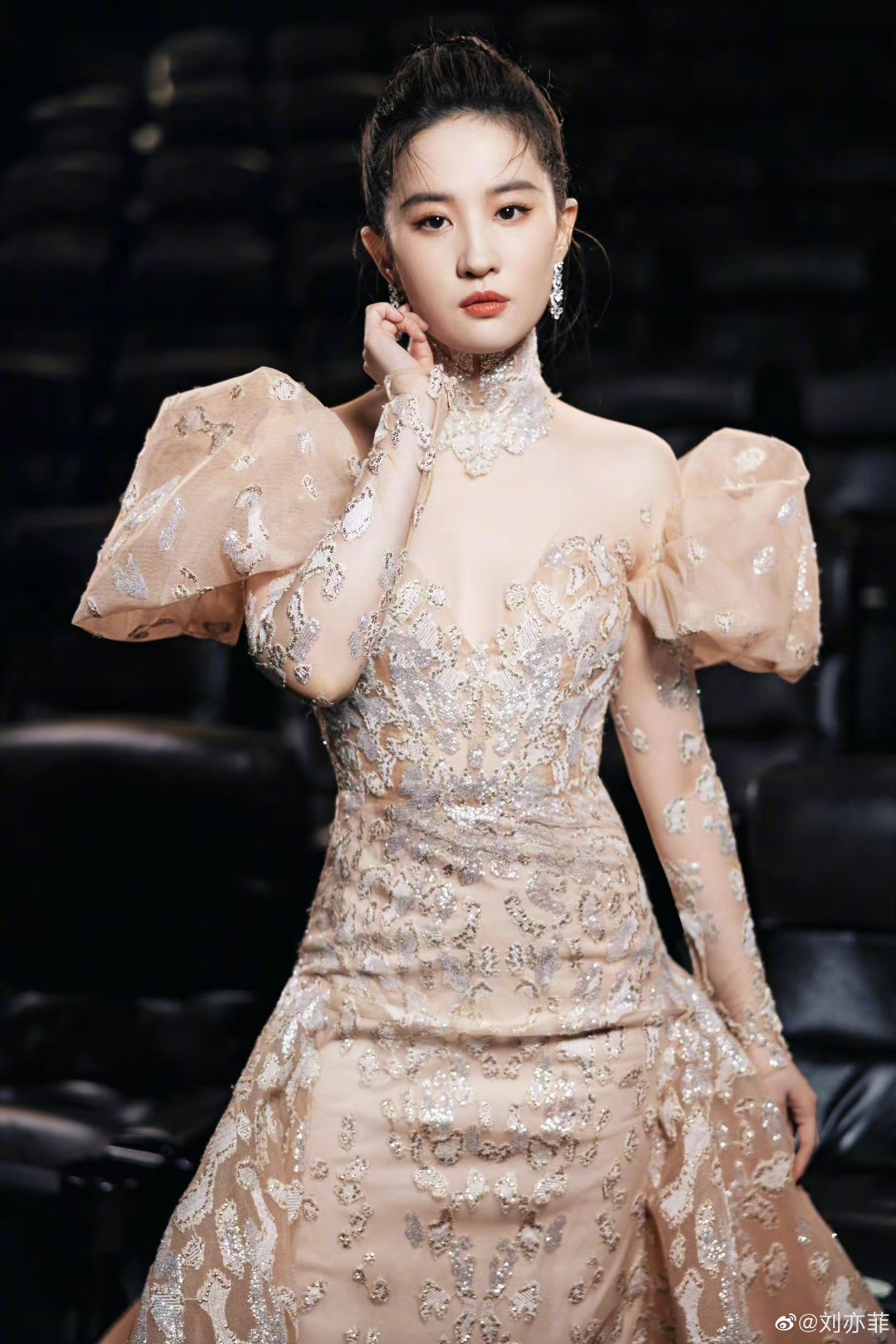 Luu Diec Phi bi miet thi ngoai hinh anh 2