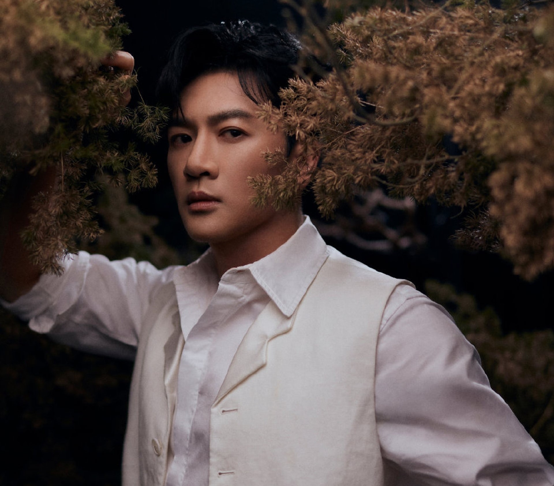 Tô Hữu Bằng trở lại ảnh 2 To Huu Bang tro lai anh 2