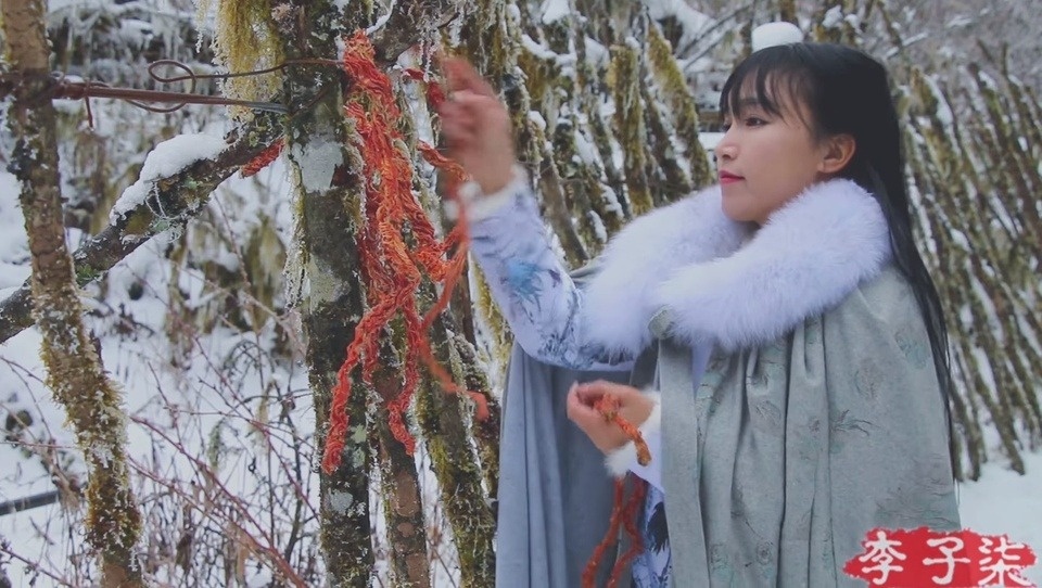 Lý Tử Thất 2.0 ảnh 3 Ly Tu That 2.0 anh 3