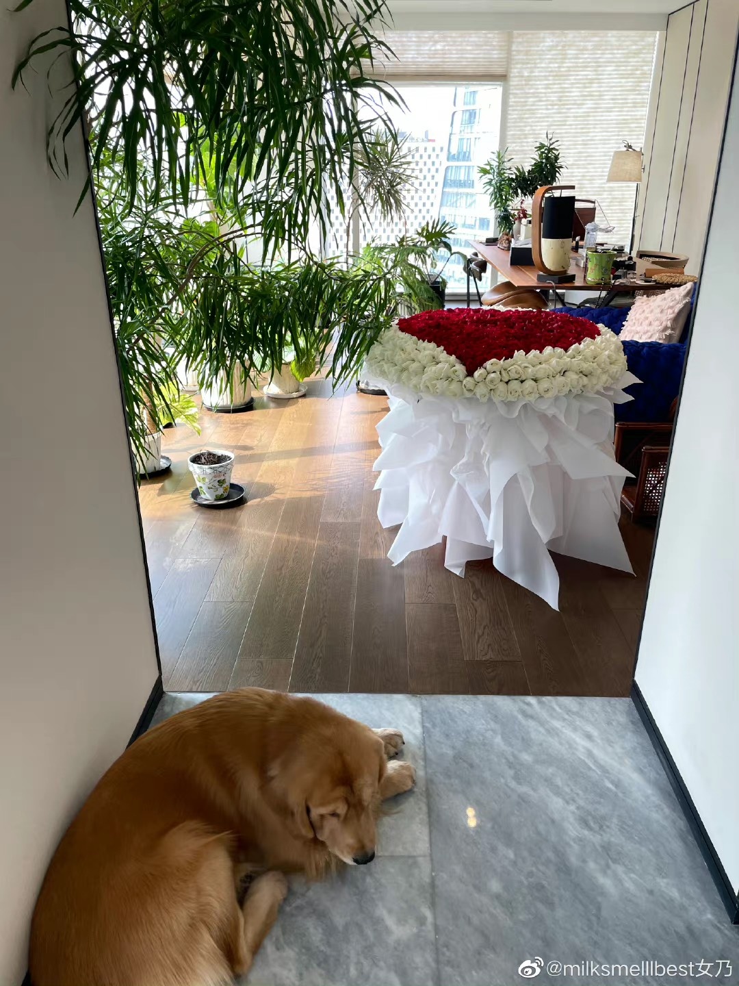 Truong Dai Dich be boi anh 2