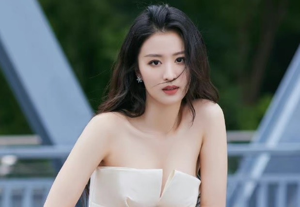 Su doc hai tu viec 'tieu Luu Diec Phi' bi cong kich hinh anh