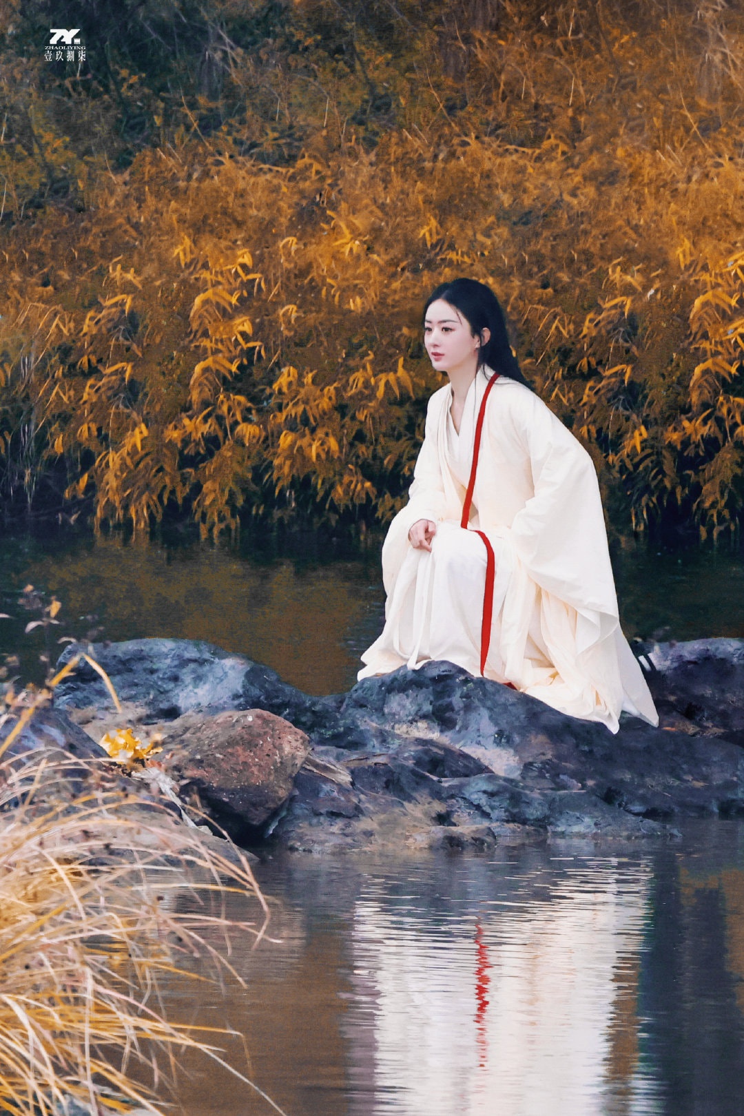 Trieu Le Dinh vo thuat anh 5