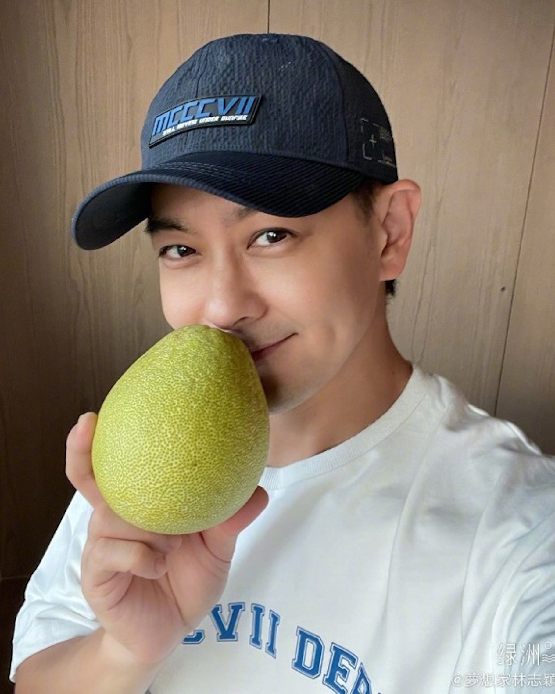 Lam Chi Dinh tai nan anh 2