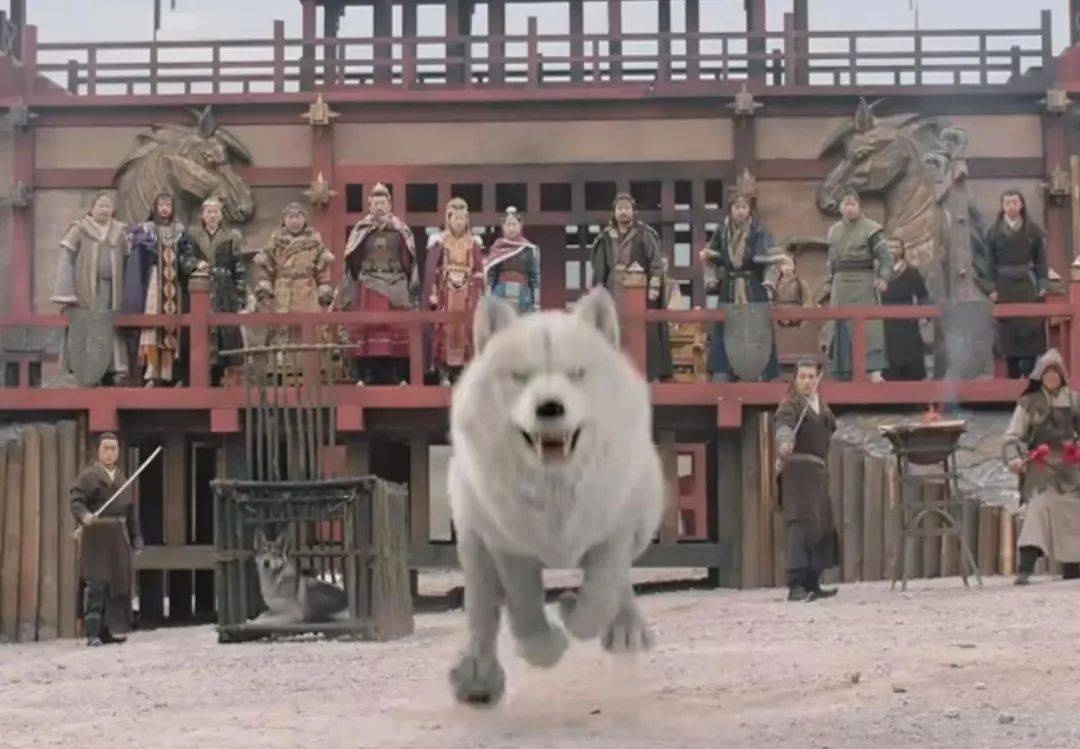 Tinh ha truong minh anh 1