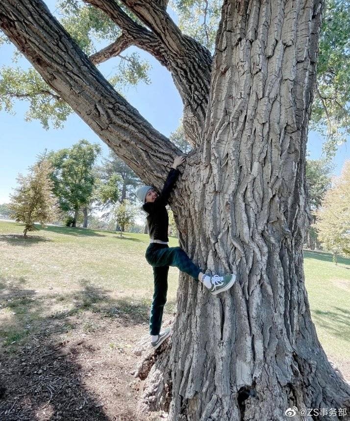 Cuoc song Trinh Sang anh 4