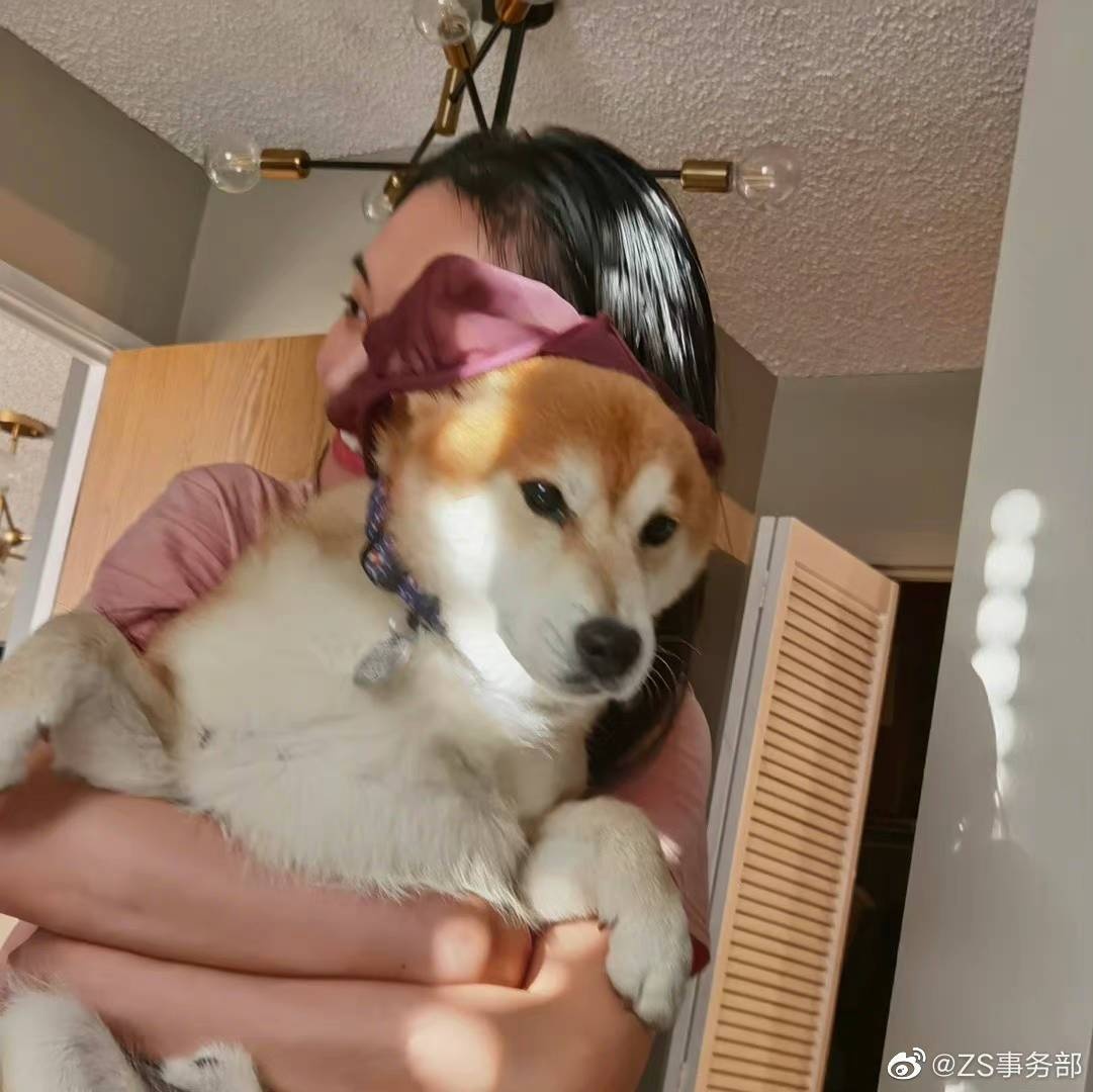 Cuoc song Trinh Sang anh 3