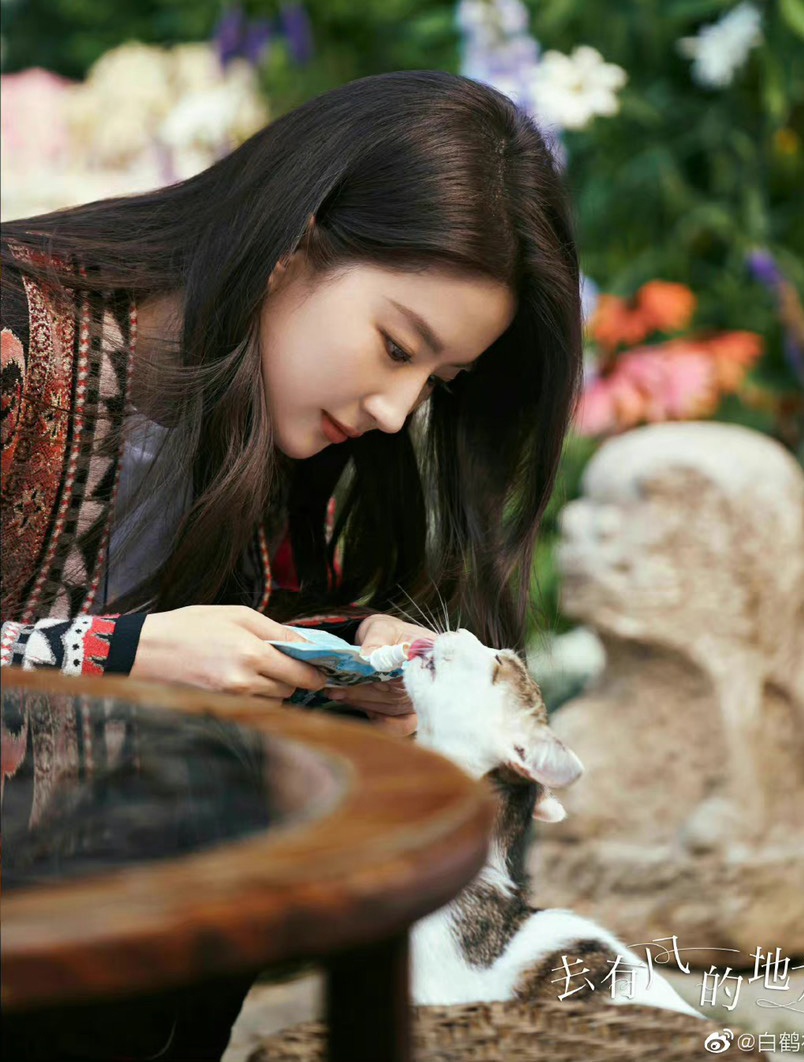 Tao hinh Luu Diec Phi anh 3