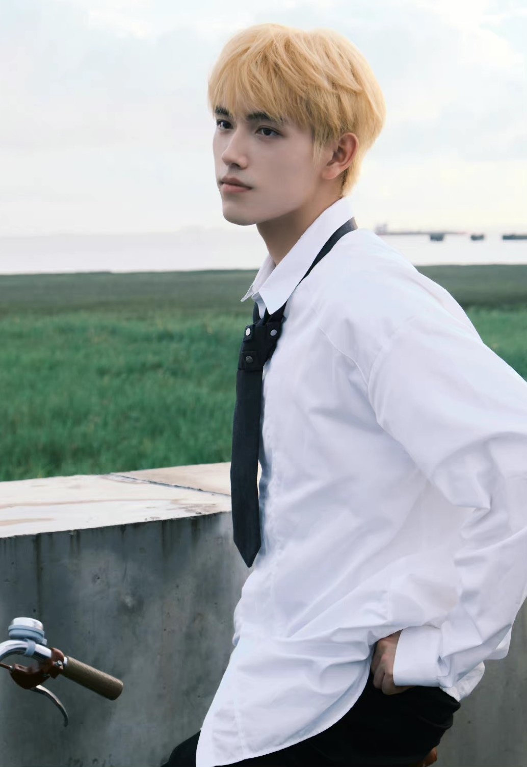 Tran Phi Vu scandal anh 5