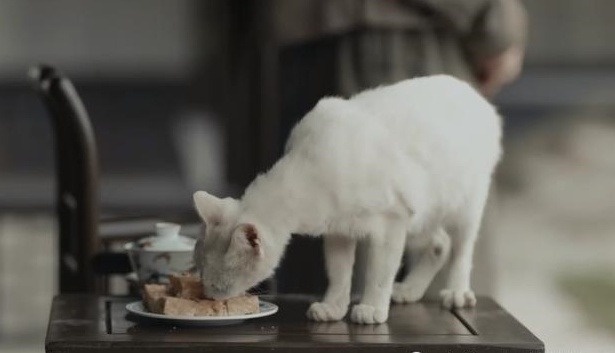 Phim Vu Chính ảnh 1 Phim Vu Chinh anh 1